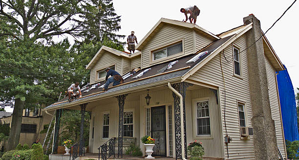 Best Roof Gutter Cleaning  in Balch Springs, TX